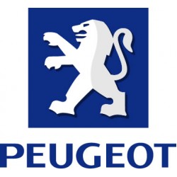 Kit Turbo Peugeot